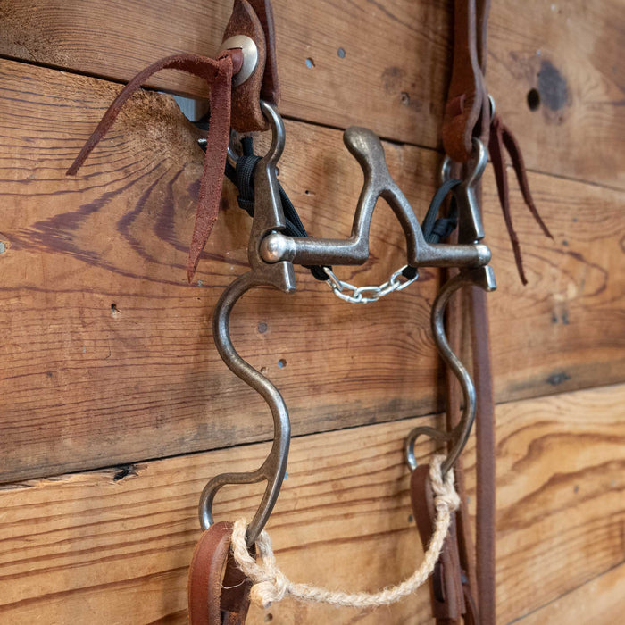 Kerry Kelley 10 Cathedral Bridle Rig