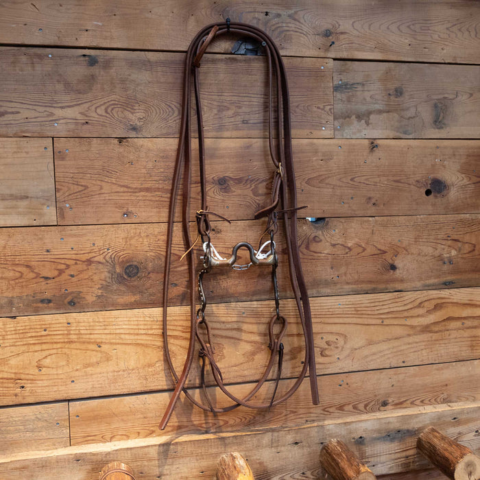 Dutton Port Bit Bridle Rig