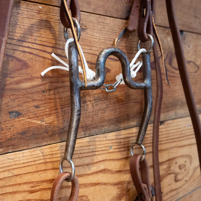 Michael Kuzio Solid Port Bit Bridle Rig