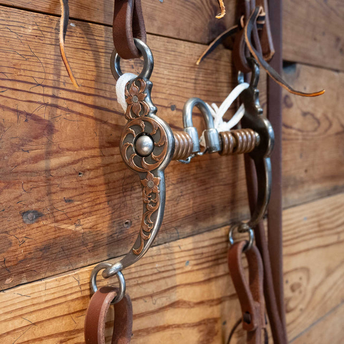 Josh Ownbey Correction Bit Bridle Rig