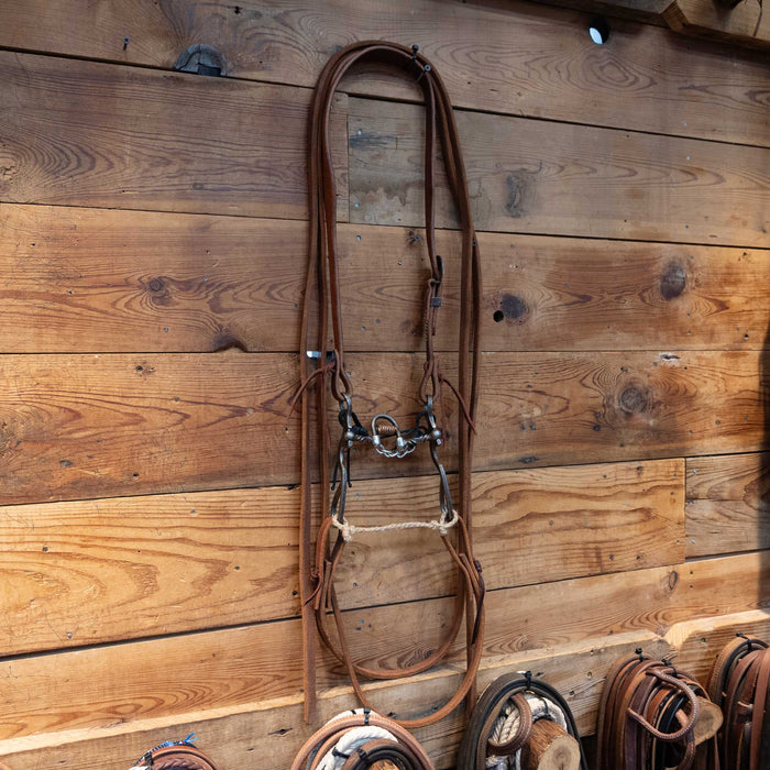 John Kamphaus Slow Twist Correction Bridle Rig Tack - Rigs Kamphaus