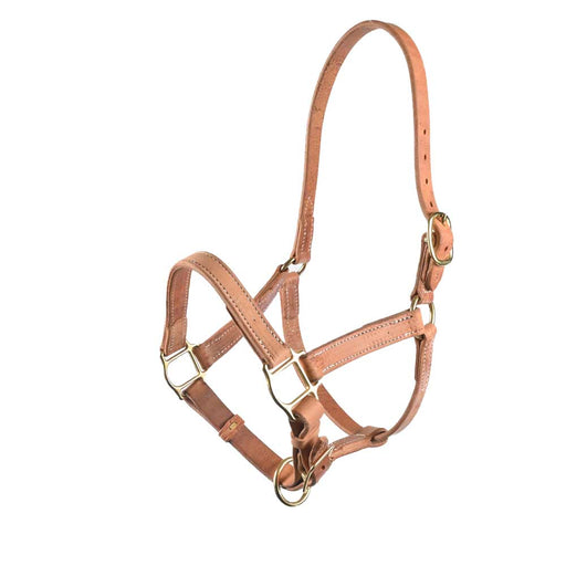 Teskey's Leather Halter Tack - Halters & Leads Teskey's Yearling
