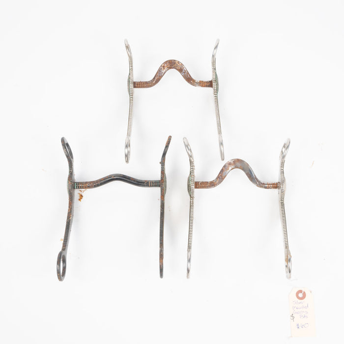 NEW Assorted Mounted Grazing Bits Set Of 3 Sale Barn Teskey's
