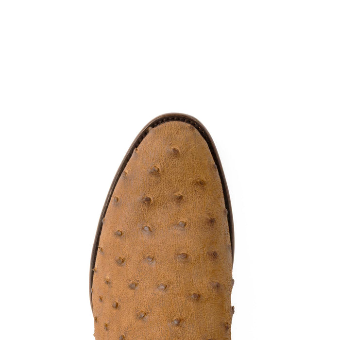 Horse Power Antique Saddle Full Quill Ostrich Boot