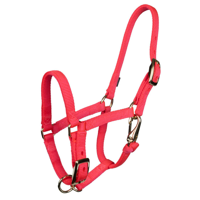 Weaver Miniature Horse Halter Tack - Halters & Leads Weaver Large Mini Diva Pink