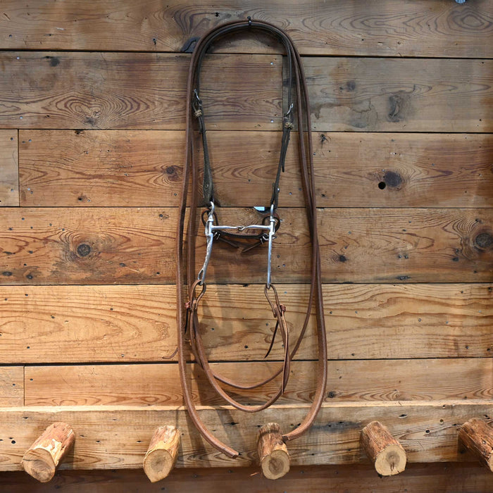 Snaffle Bit Bridle Rig