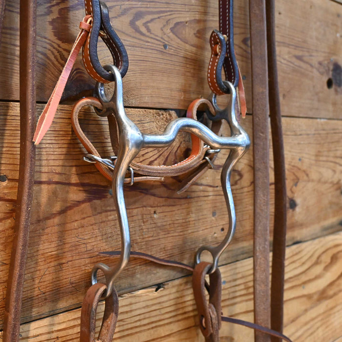 Solid Port Bit Bridle Rig