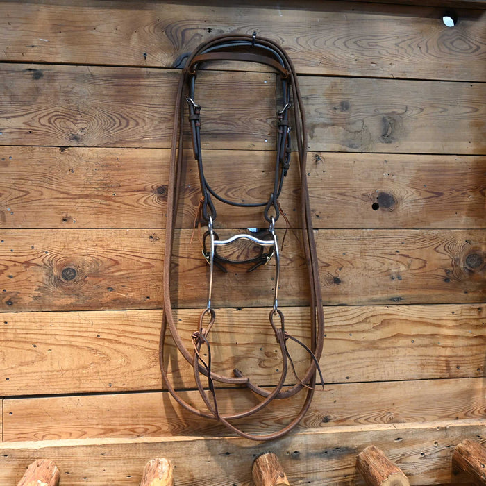 Grazing Bit Bridle Rig