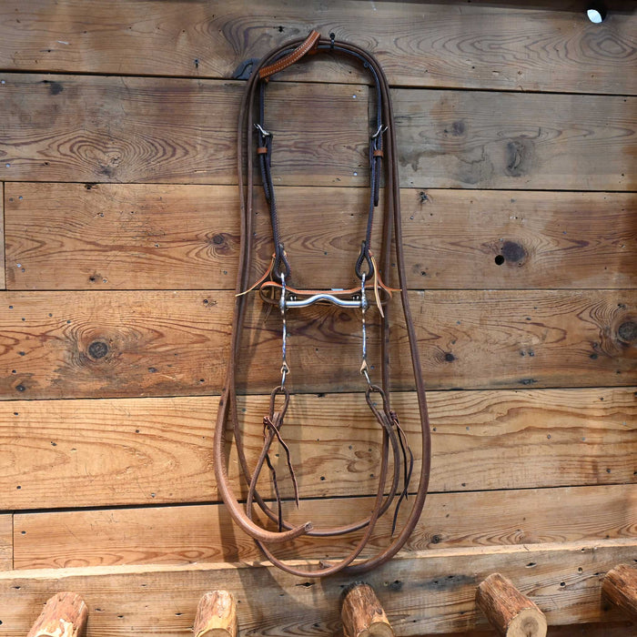 Solid Port Bit Bridle Rig