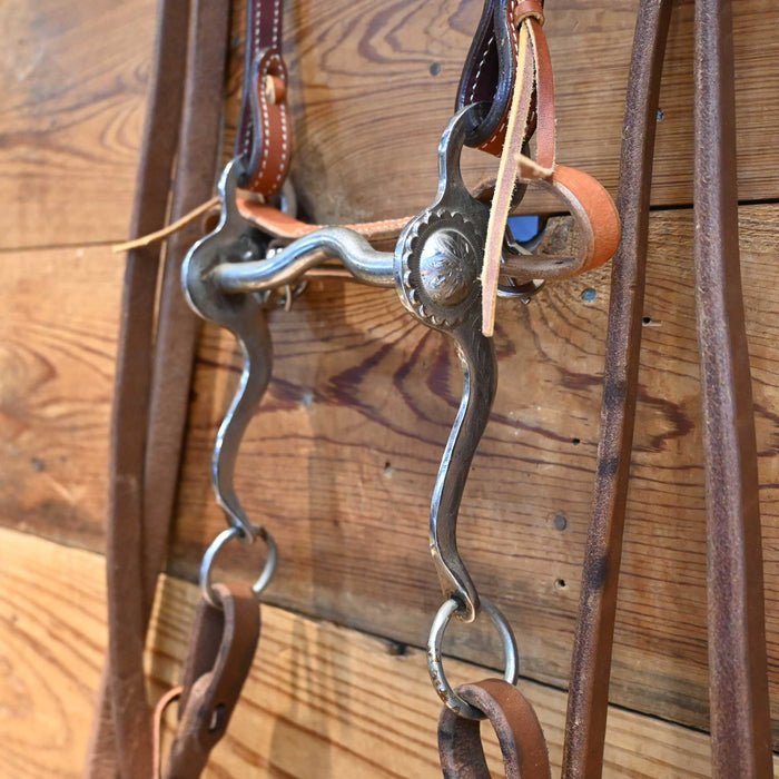 Solid Port Bit Bridle Rig
