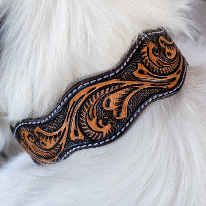 Scalloped Dog Collar With Tooled Floral Scroll Pets - Accessories Teskeys