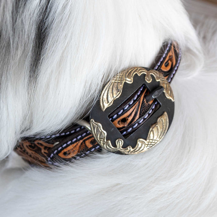 Scalloped Dog Collar With Tooled Floral Scroll Pets - Accessories Teskeys