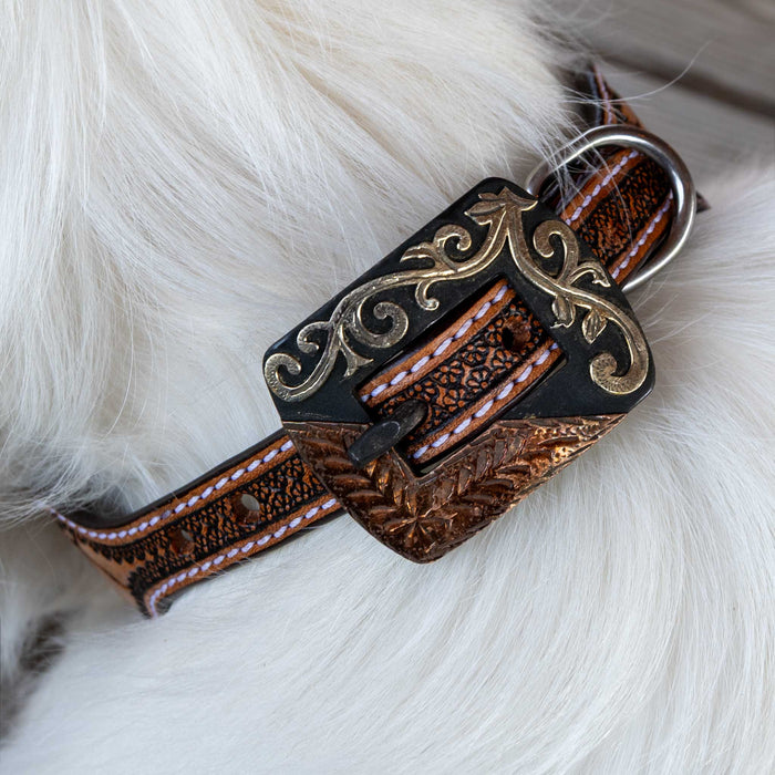 Diamond Tooled Leather Dog Collar With Engraved buckle Pets - Accessories Teskeys