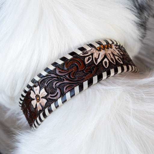 Floral Tooled Leather Dog Collar With Engraved Buckle Pets - Accessories Teskeys