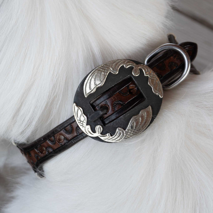 Floral Tooled Leather Dog Collar With Engraved Buckle Pets - Accessories Teskeys