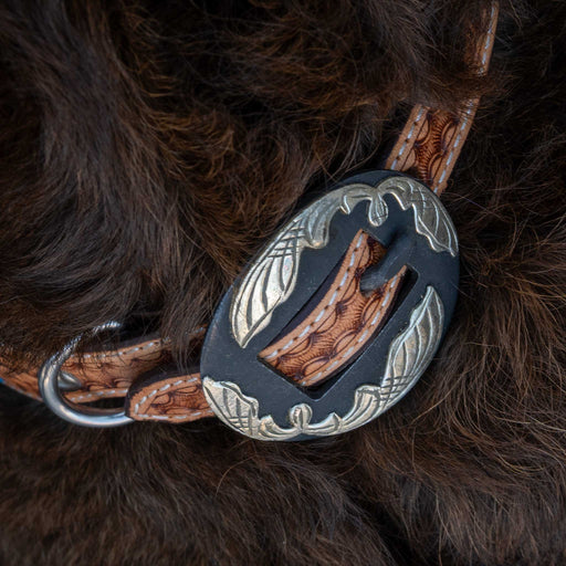 Basket Weave Collar With Turquoise Buckstitch Pets - Accessories Teskeys