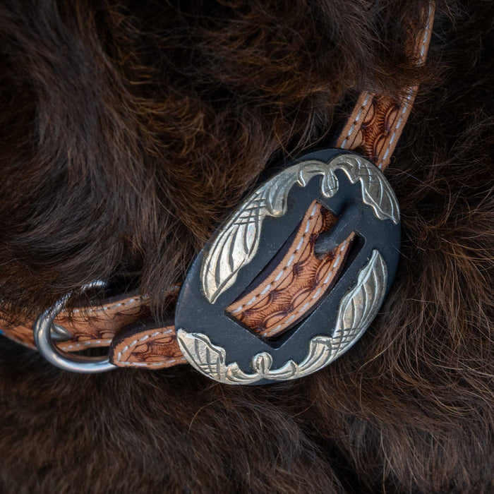 Basket Weave Collar With Turquoise Buckstitch Pets - Accessories Teskeys