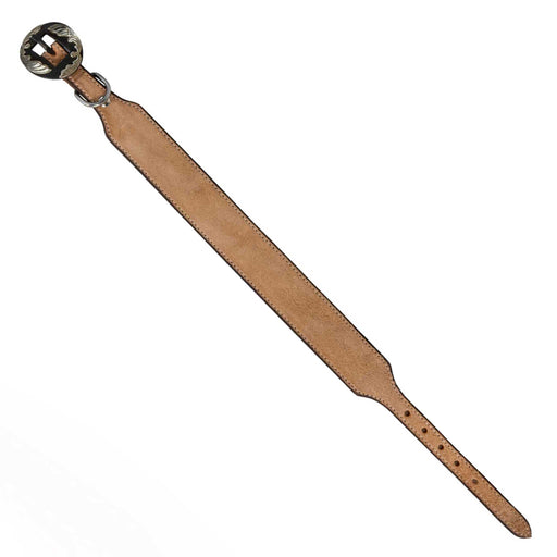 Light oil Roughout Dog Collar With Engraved Buckle Pets - Accessories Teskeys