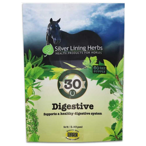 Silver Lining Digestive Support Equine - Supplements Silver Lining