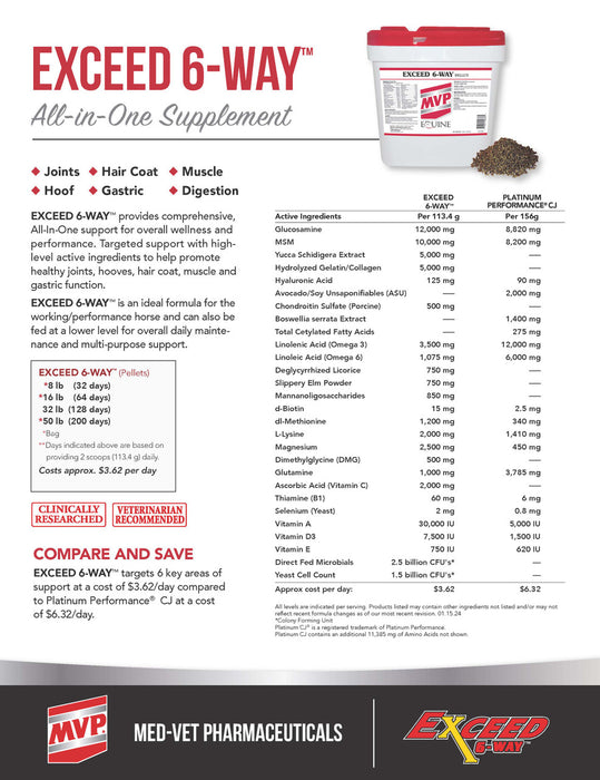 MVP Exceed 6-Way Equine - Supplements MVP