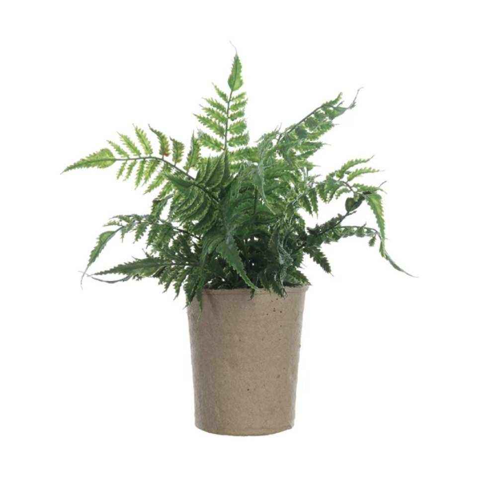 Faux Fern HOME & GIFTS - Home Decor - Decorative Accents Creative Co-Op   