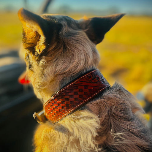 Teskey's Basketweave Tooled Dog Collar with Two-Tone Rectangle Buckle Pets - Accessories Teskey's