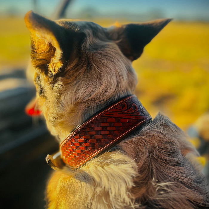 Teskey's Basketweave Tooled Dog Collar with Two-Tone Rectangle Buckle Pets - Accessories Teskey's