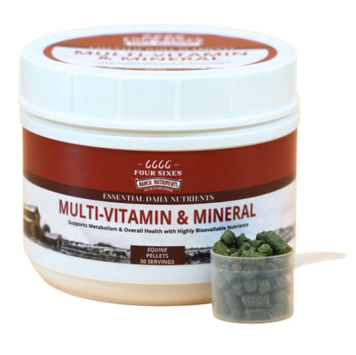 6666 Ranch Nutriments Multi-Vitamin & Mineral Equine - Supplements 6666 Ranch Nutriments