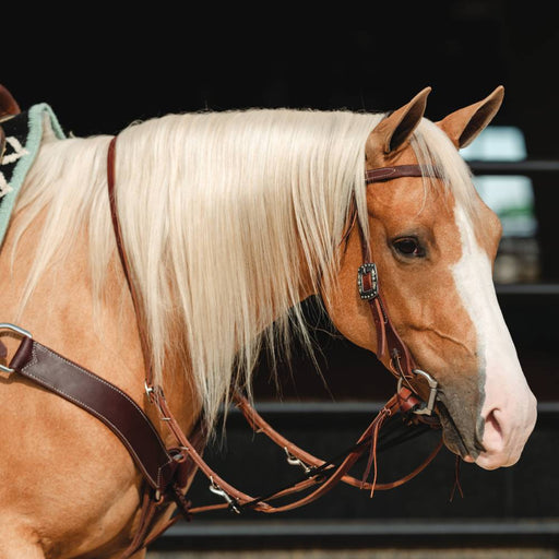 Professional's Choice Single Rein German Martingale Tack - Training Professional's Choice