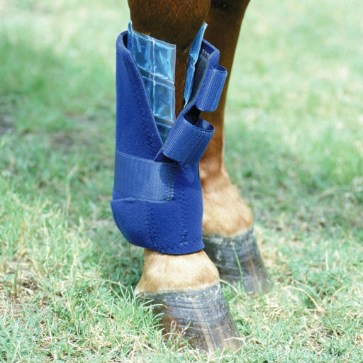 Professional's Choice Ice Cells Equine - Therapeutic Professional's Choice