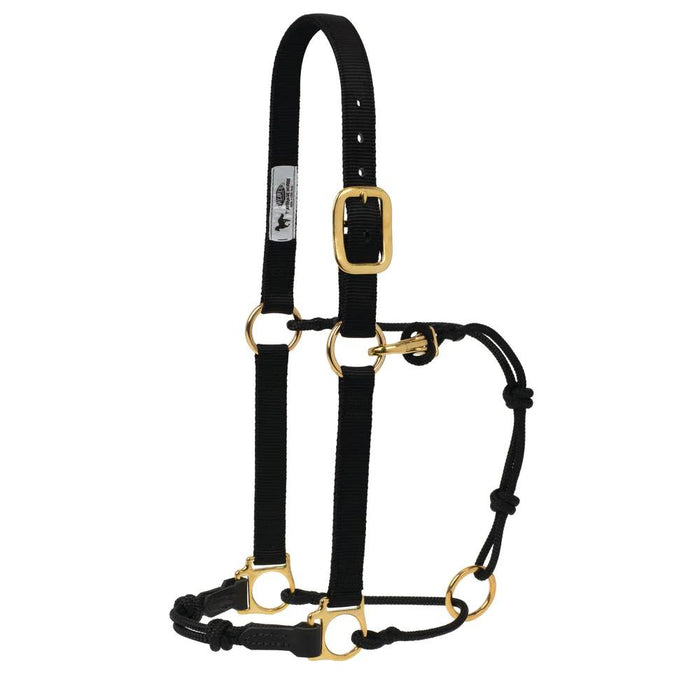 Weaver Horseman's Halter Tack - Halters & Leads Weaver Pony/Weanling Black/Black
