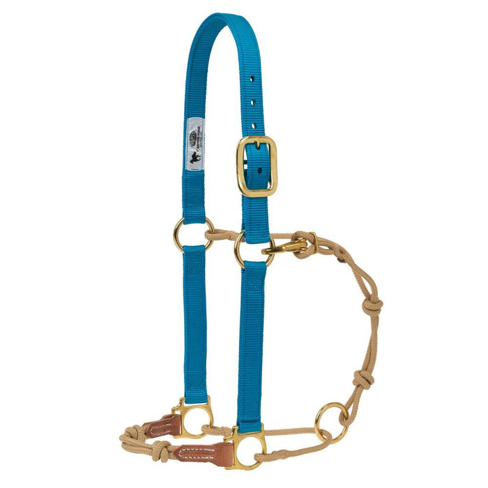 Weaver Horseman's Halter Tack - Halters & Leads Weaver S Hurricane Blue/Tan
