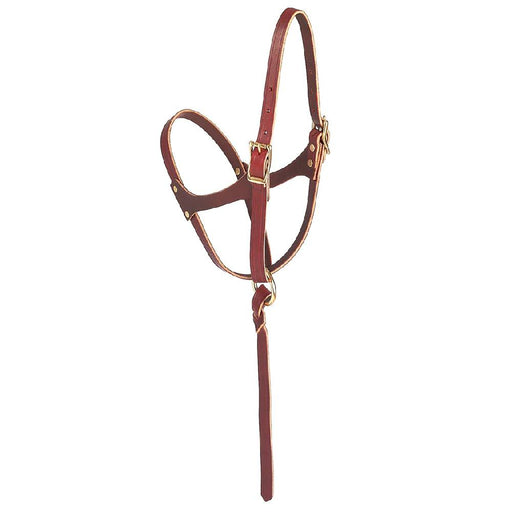 Weaver Figure 8 Foal Halter Tack - Halters & Leads Weaver Burgundy Latigo