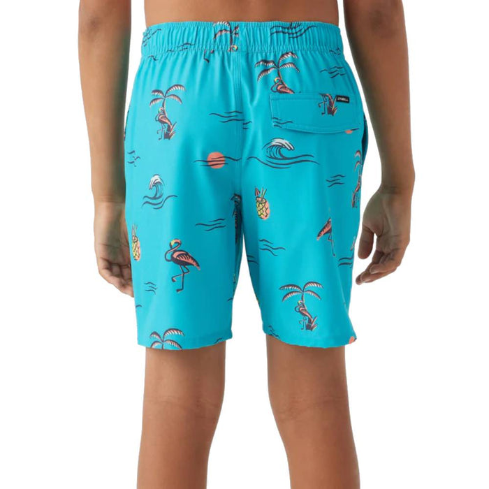 O'Neill Boy's Hermosa Crew Boardshorts - 16" KIDS - Boys - Clothing - Surf & Swimwear O'Neill