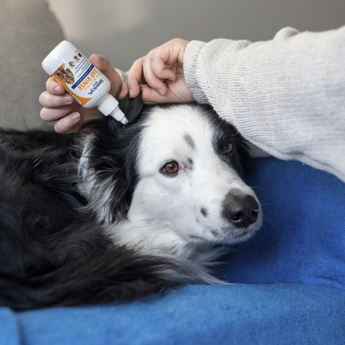 Vetericyn Ear Rinse First Aid & Medical - Topicals Vetericyn