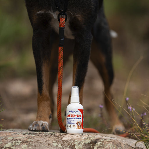 Vetericyn Hot Spot Spray First Aid & Medical - Topicals Vetericyn