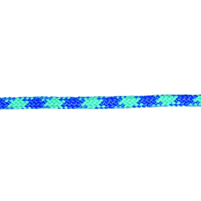 Professional's Choice Rope Halter with Lead Tack - Halters & Leads Professional's Choice Royal/Teal