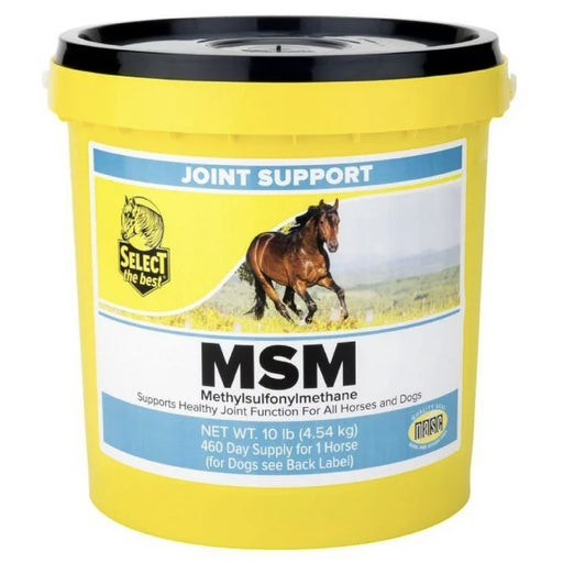 Select The Best MSM Equine - Supplements Select the Best 10lb