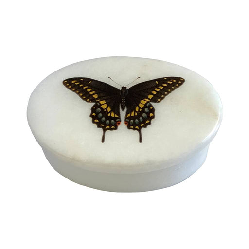 Eastern Black Swallowtail Butterfly Oval Soapstone Trinket Box HOME & GIFTS - Bath & Body - Bath Accessories Madison Bay Co.