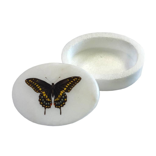 Eastern Black Swallowtail Butterfly Oval Soapstone Trinket Box HOME & GIFTS - Bath & Body - Bath Accessories Madison Bay Co.
