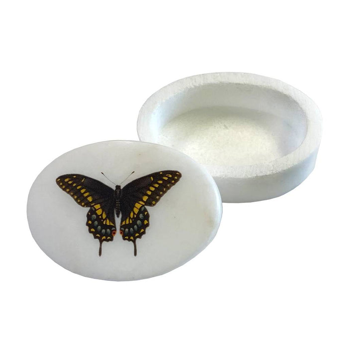 Eastern Black Swallowtail Butterfly Oval Soapstone Trinket Box HOME & GIFTS - Bath & Body - Bath Accessories Madison Bay Co.