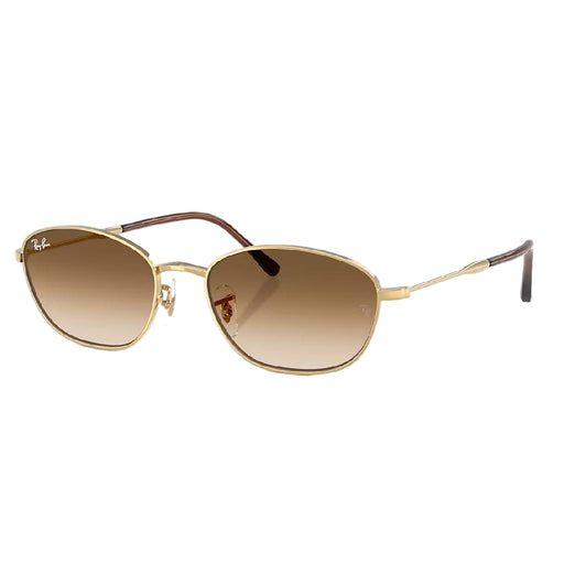 Ray-Ban RB3749 Arista Sunglasses ACCESSORIES - Additional Accessories - Sunglasses Ray-Ban