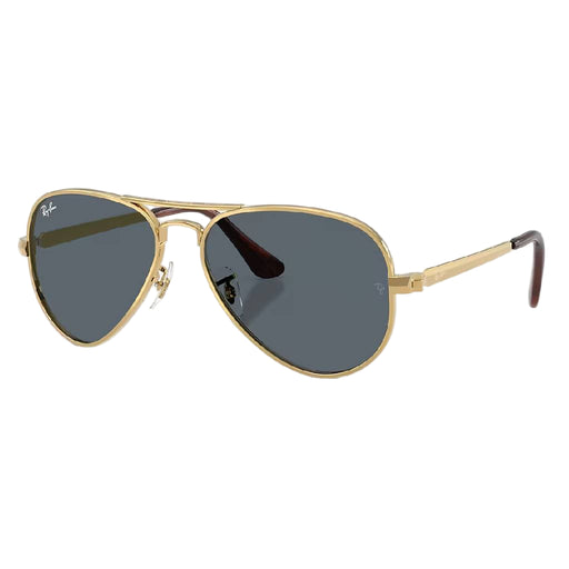 Ray-Ban Aviator Max Arista Sunglasses ACCESSORIES - Additional Accessories - Sunglasses Ray-Ban