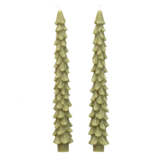Set of 2 Unscented Tree Shaped Taper Candles - Cedar Green HOME & GIFTS - Home Decor - Seasonal Decor Creative Co-Op