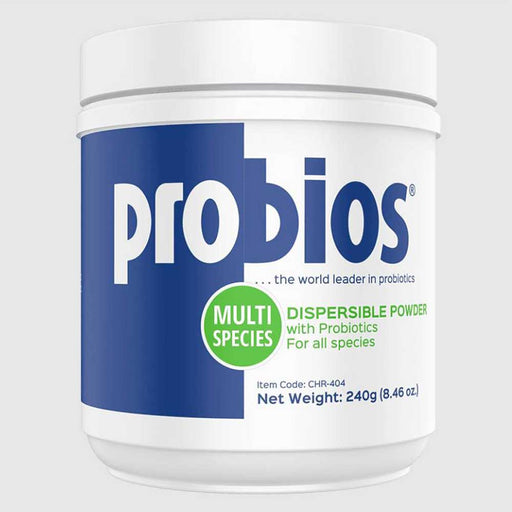 Probios Dispersible Equine - Supplements Probios 240gm