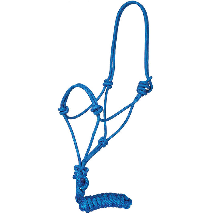 Traditional Rope Halter with Lead Tack - Halters & Leads Mustang Blue