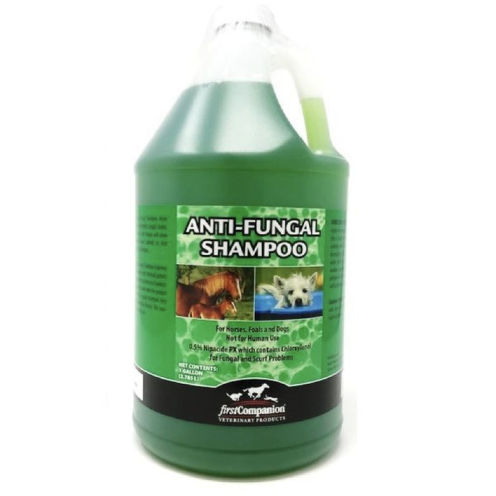 First Companion Anti Fungal Shampoo Equine - Grooming First Companion 1 Gallon