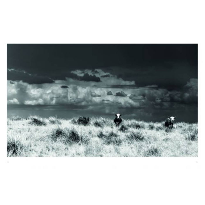 West: The American Cowboy HOME & GIFTS - Books ACC Publishing