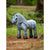 LeMieux Toy Pony - Sam KIDS - Accessories - Toys LeMieux   