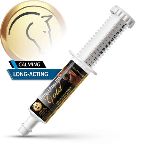 Perfect Prep EQ Gold Equine - Supplements Perfect Prep